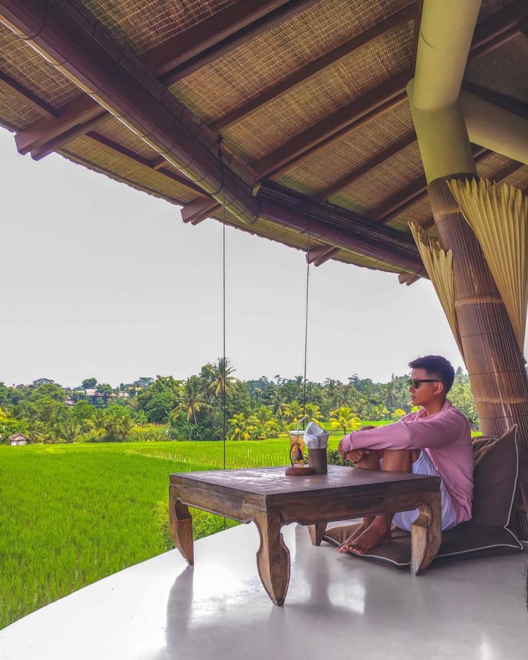 Zen Hideaway Ubud качели