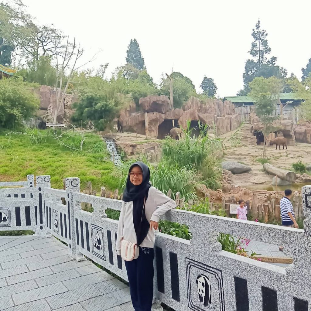 taman safari bogor review